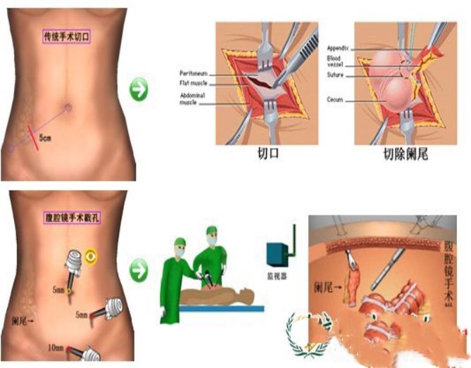 微信图片_20171204152953 微信图片_20171204152953