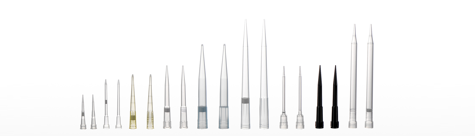 20230624184726ebabab