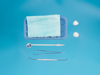 Dental Exam Kit