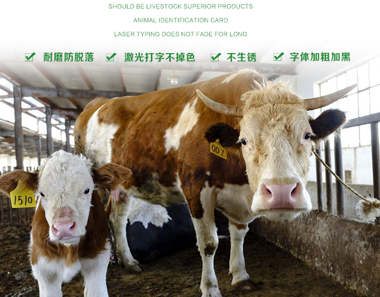 QQ图片20220721163202