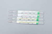 Mercury Free Thermometer