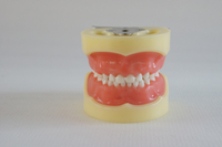 HST- A3 STANDARD MODEL 24PIECES, HARD GUM