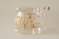 HST-C16 2.5 TIMES PATHOLOGY MODEL(MONOCHROMATIC)