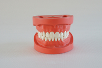 HST- A2 STANDARD MODEL 28PIECES, HARD GUM