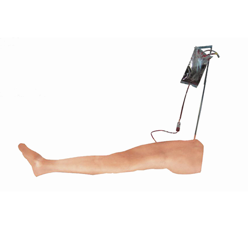 Adult Tibial Puncture Training Model
