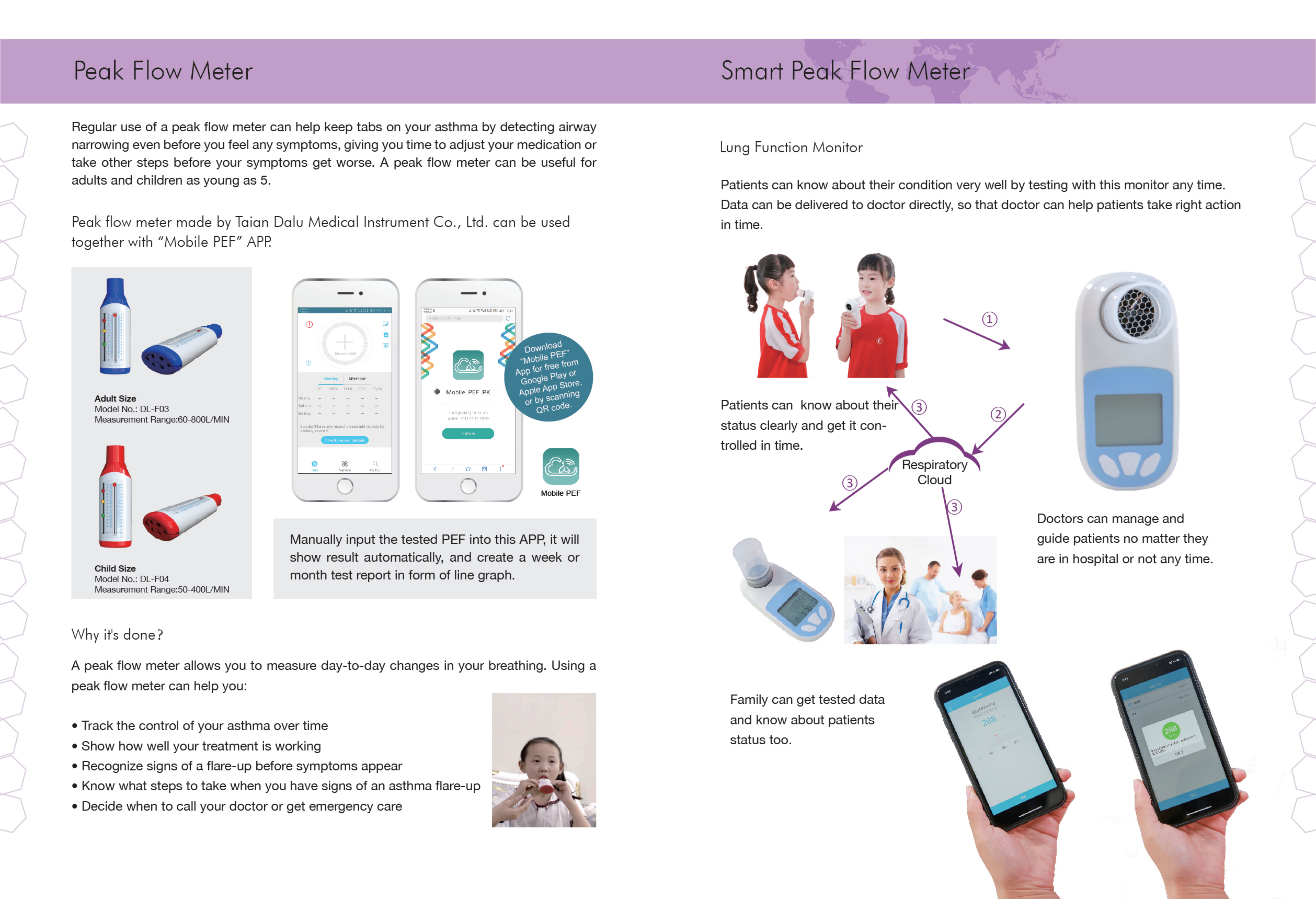 catalogue-peak flow meter_00