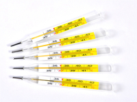 Internal Standard Thermometer (Large)
