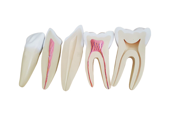 129f7402b1cf54be052cd2bd4bfbfc6c