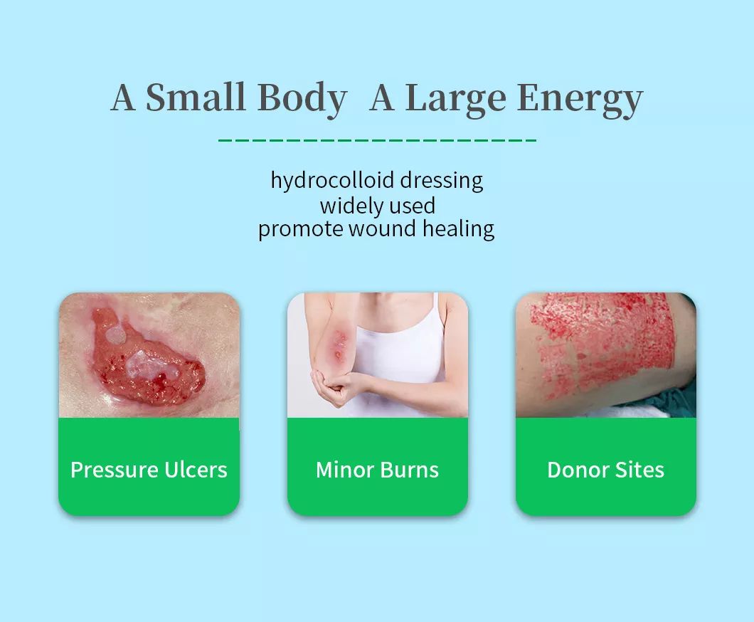 Hydrocolloid Dressing22