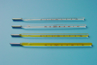Oral Thermometer