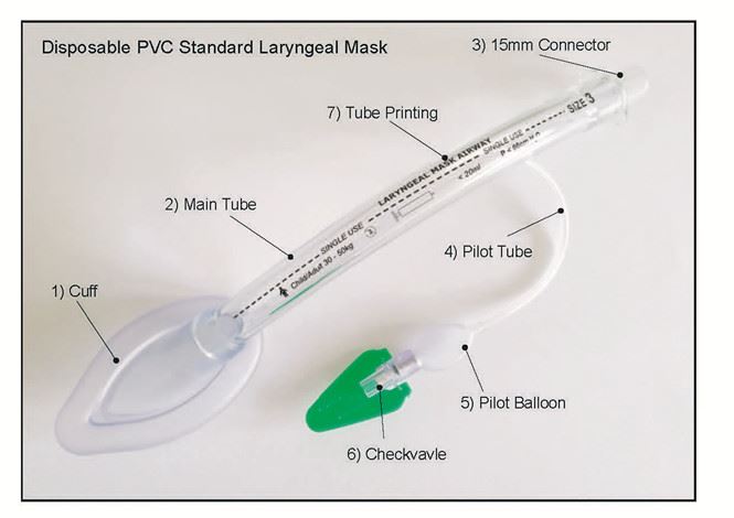 المتاح بولي كلوريد الفينيل قناع حنجري مجرى الهواء القياسية