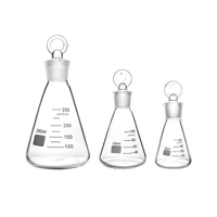 Glass Erlenmeyer Flask with Glass Stopper