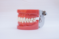 HST-A1 standard model(29pieces,hard gum, wax fix)