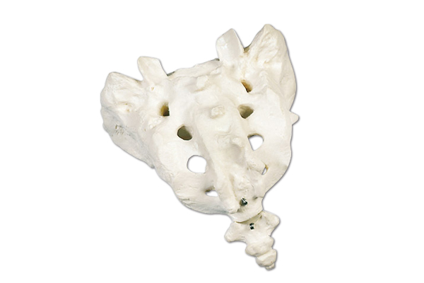 dc69fd838c7764bdbb7c20601f4d75c8