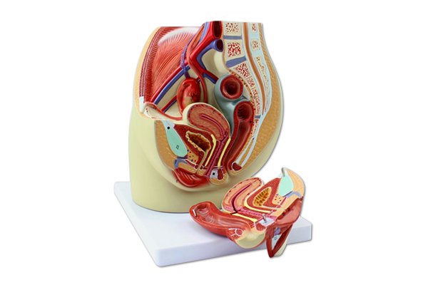 695e181483d5c9791e374a53748fd0ec