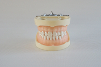 HST- A9 STANDARD MODEL 28PIECES, SOFT GUM