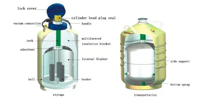 QQ图片20230206080952
