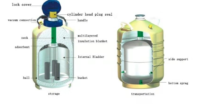 QQ图片20230206081540